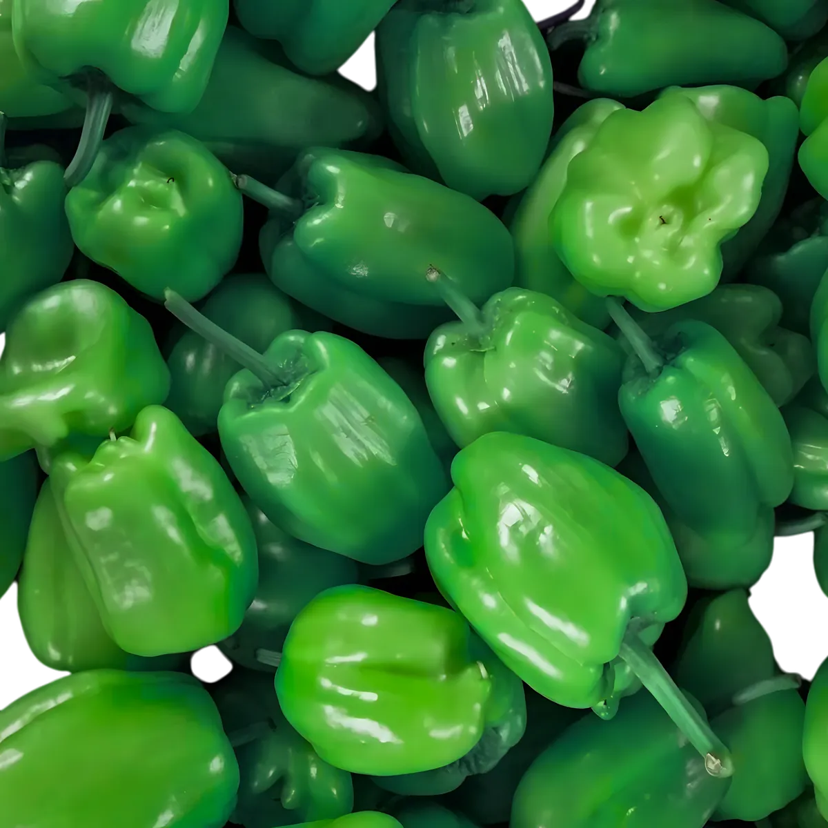 Gros plan sur des piments cabris verts frais, ingrédient principal de la pâte de piment Royal Bourbon, parfait pour assaisonner vos plats.